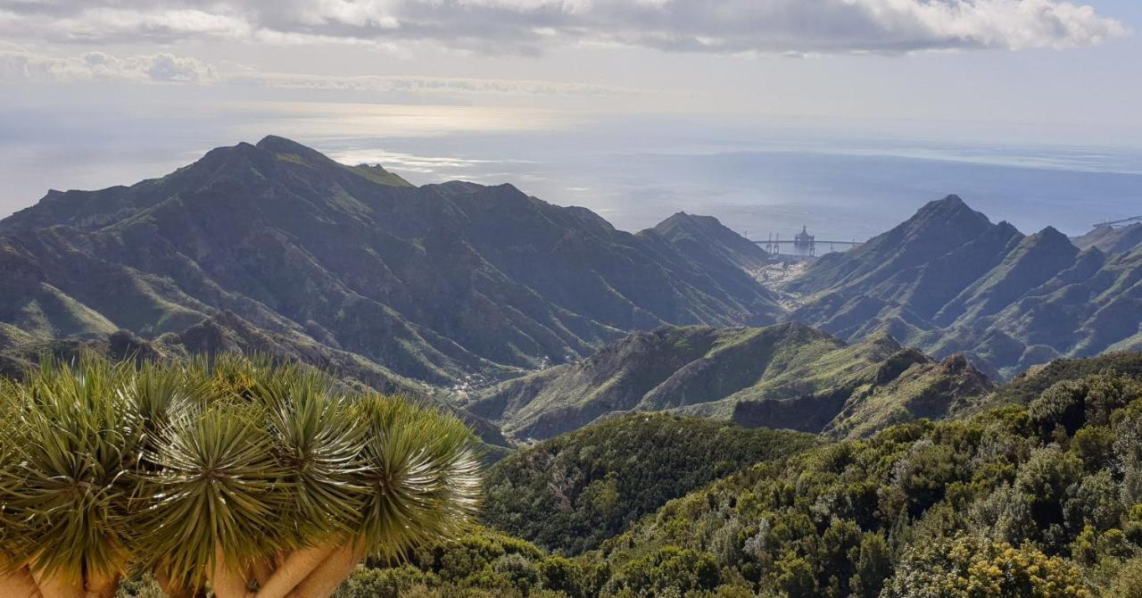 Santa Cruz De Tenerife Toscal Bagian luar foto