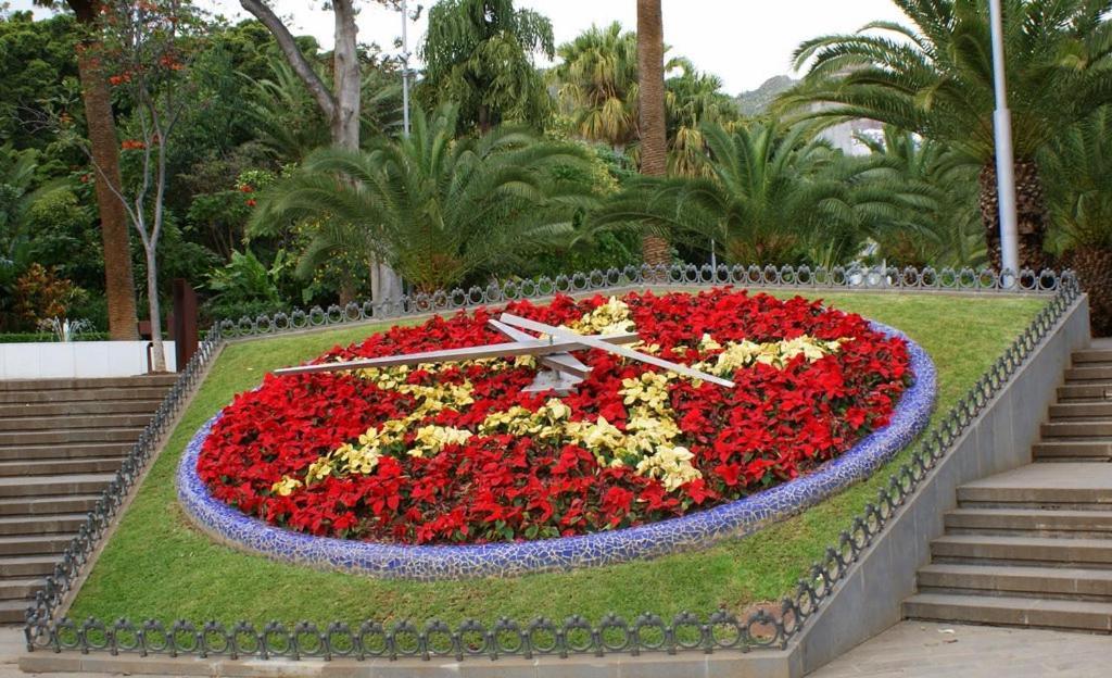 Santa Cruz De Tenerife Toscal Bagian luar foto